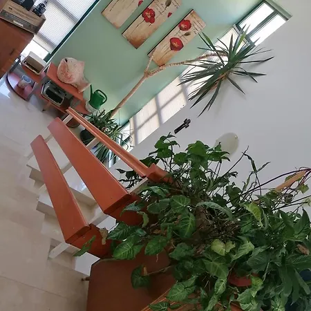 Apartment Katarina 2 *